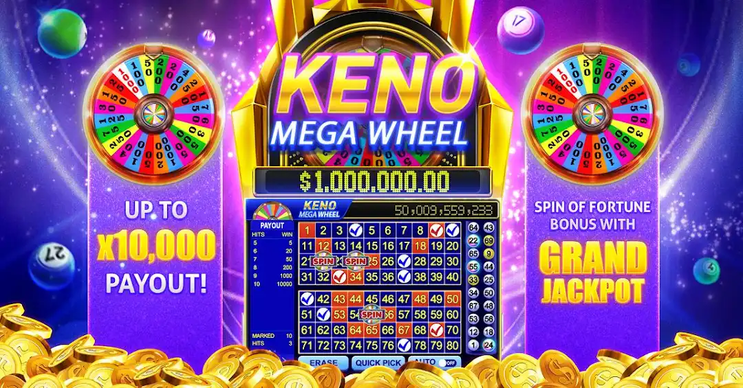 499win 4play bet cassino Android