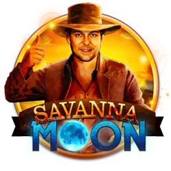 499win dollar bet cassino livre